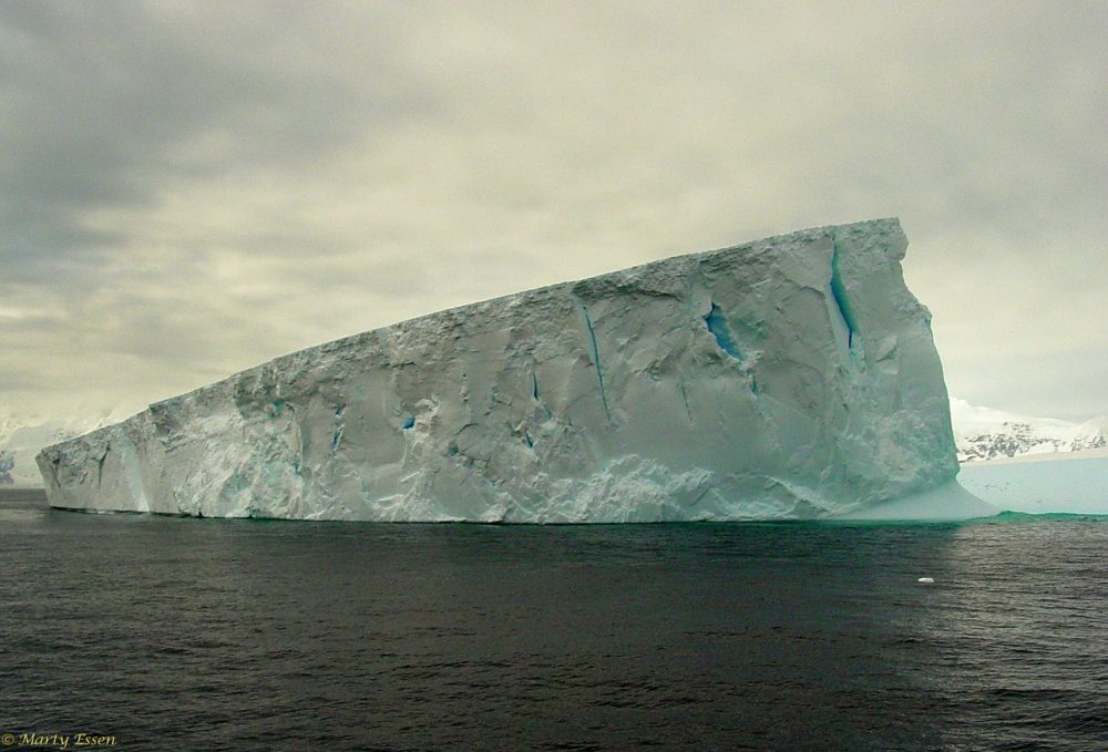 Iceberg dead ahead!