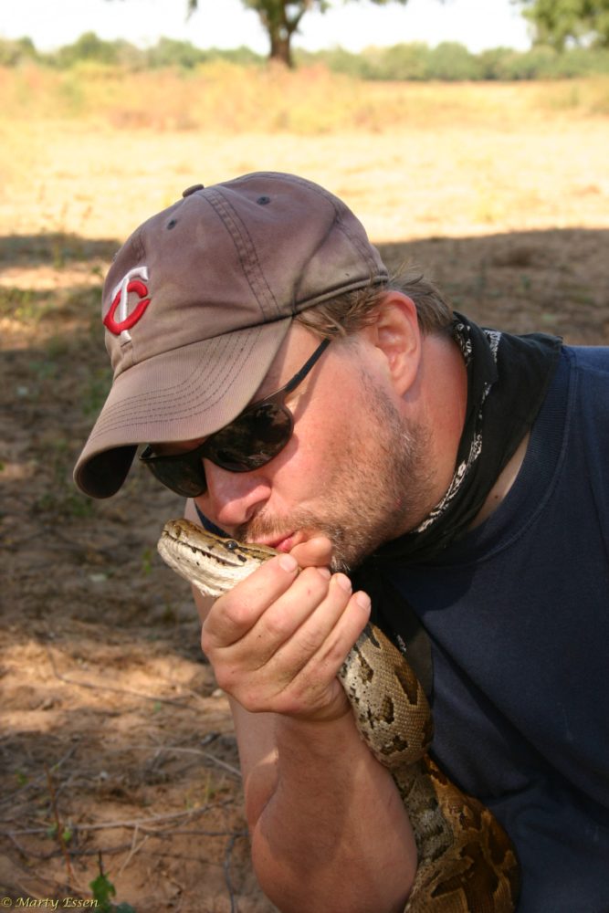 It’s safer to kiss the python*
