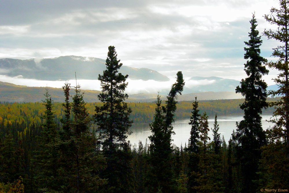 Yukon Territory in the fall