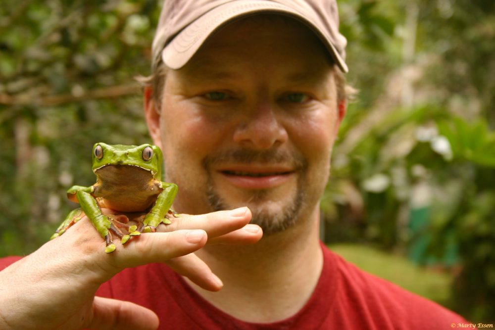 Marty and the monkey frog