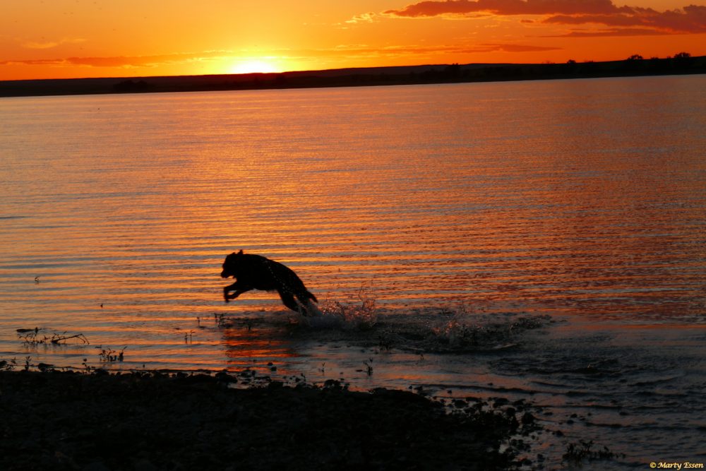 Splashing in the sunset