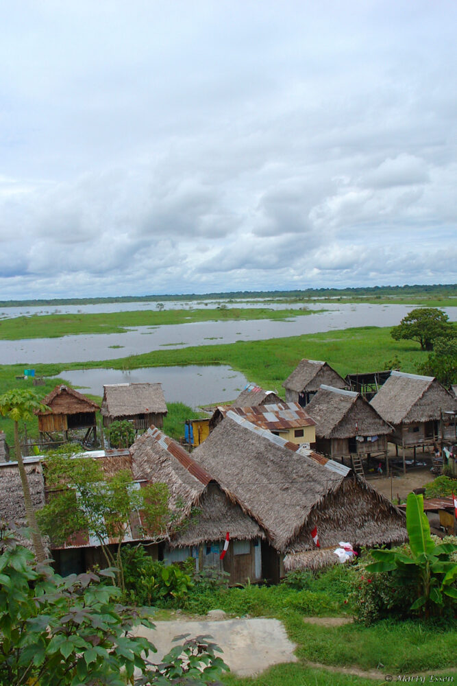 Amazon River floodplain
