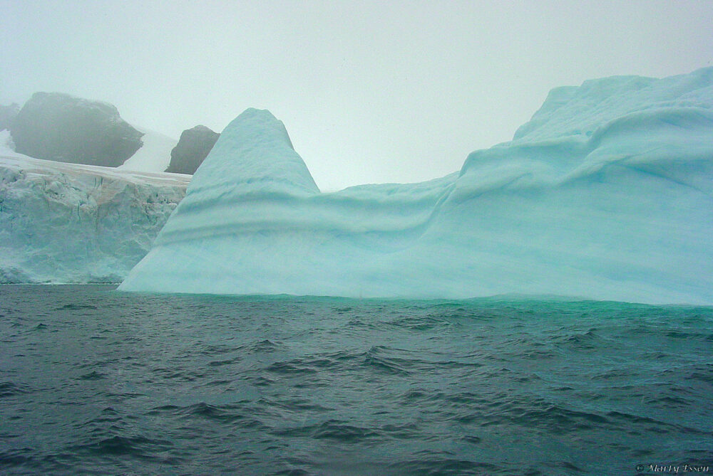 Icebergs in the fog