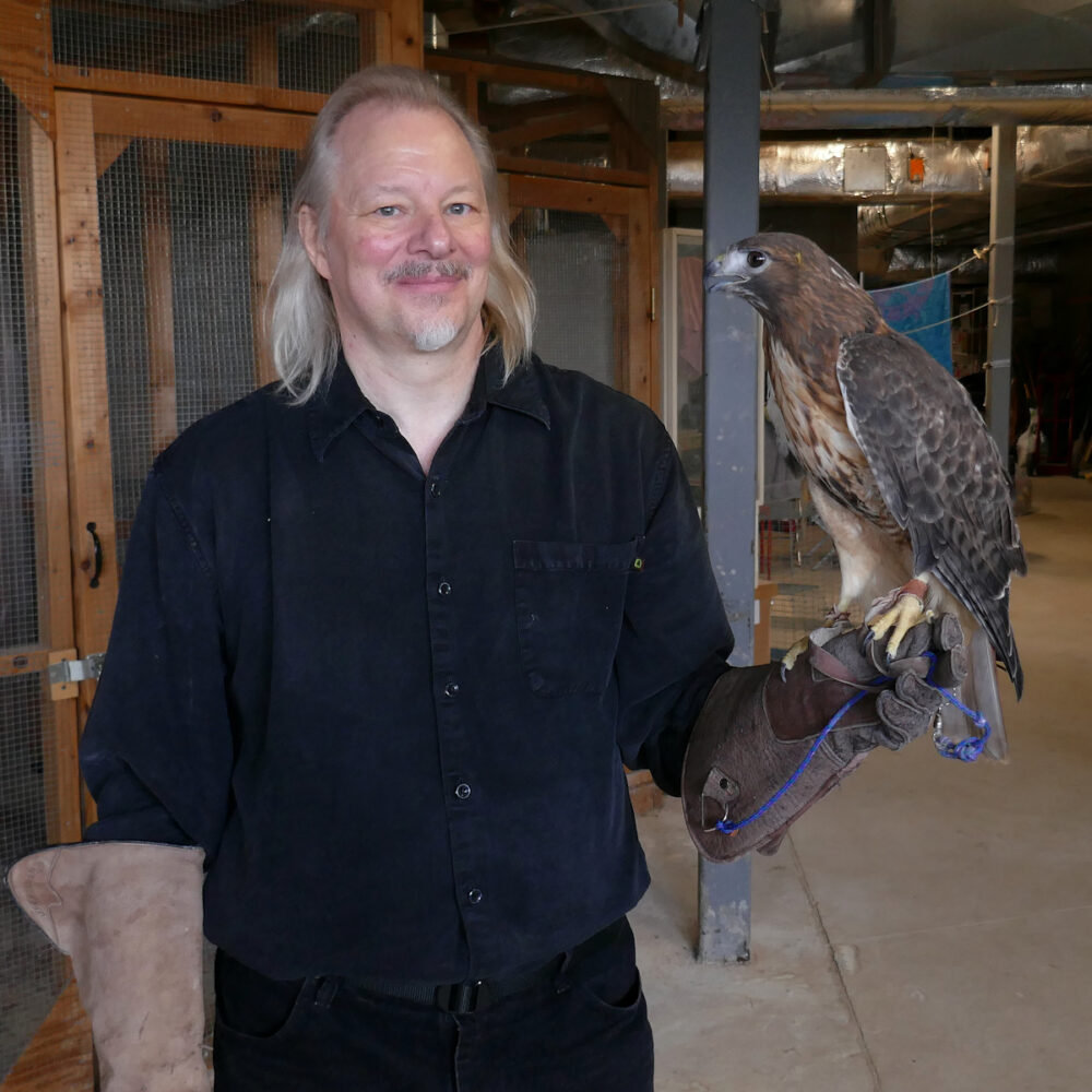 Marty and the Red-tailed hawk