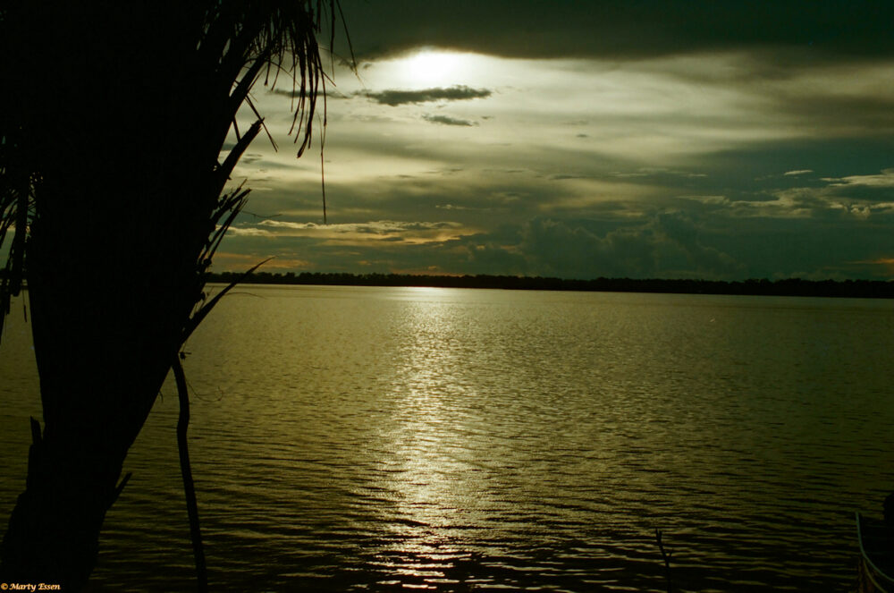 Evening along the Amazon