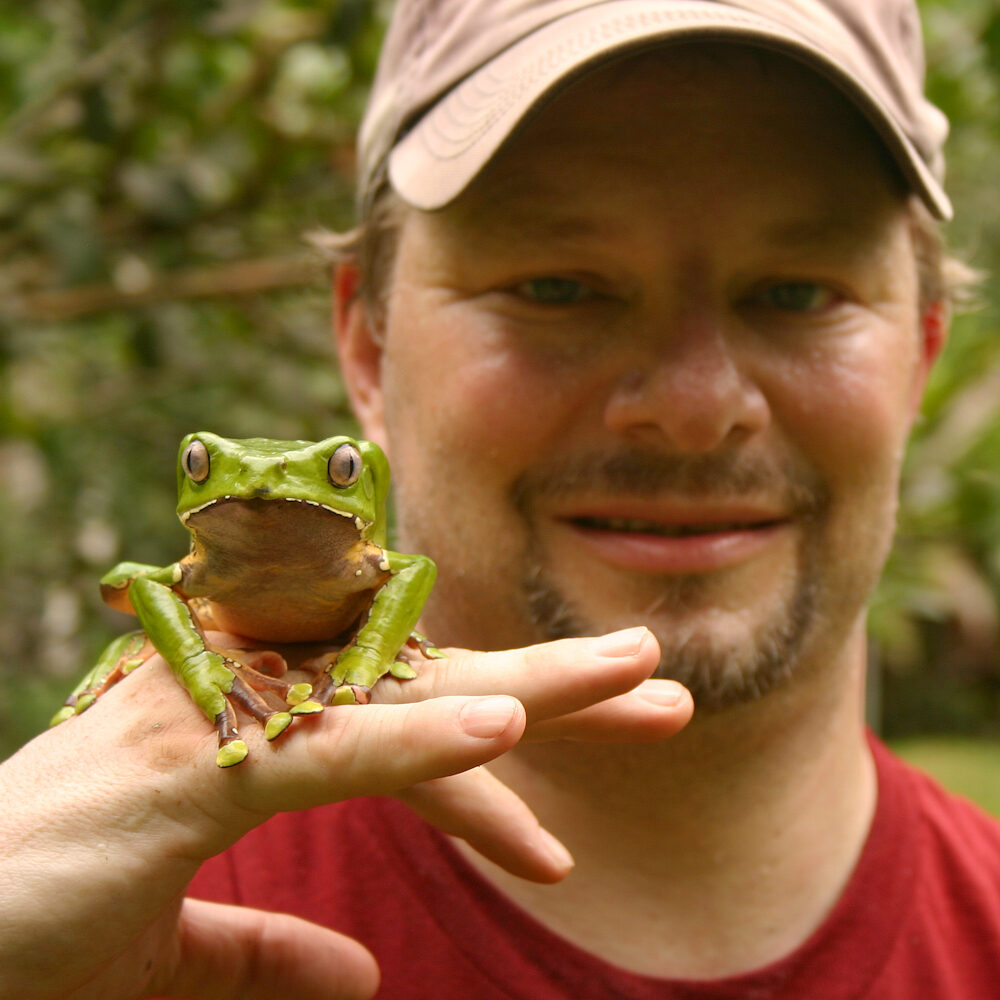 The coolest frog in the rainforest