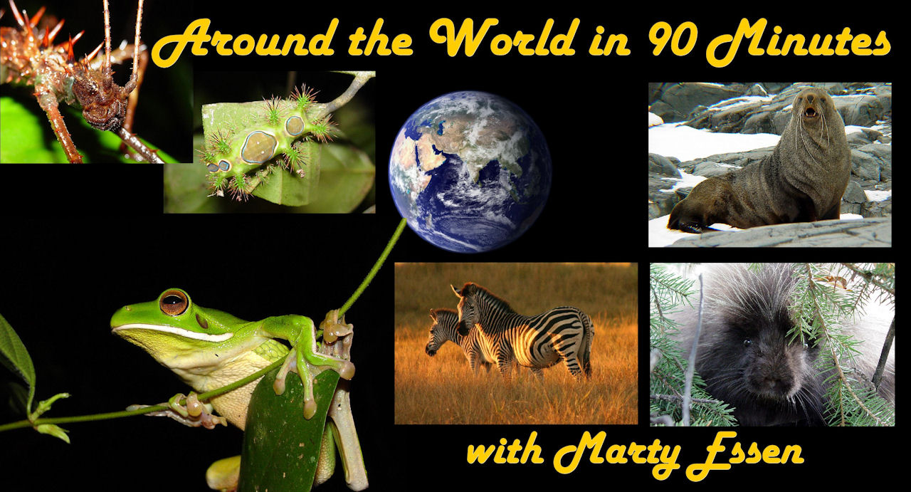 Schedule Around The World With Marty Essen 6376