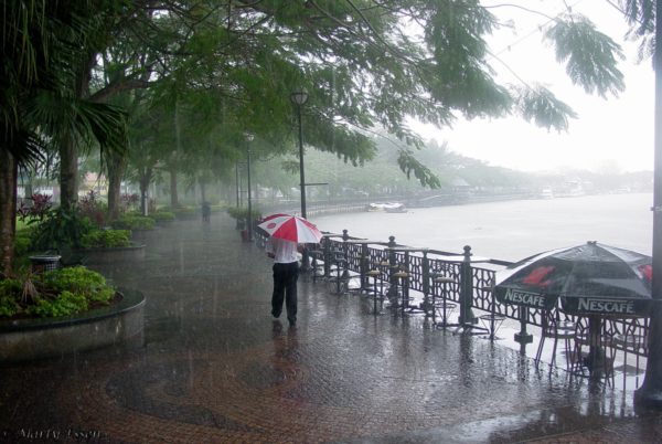 The rain in Borneo . .  .