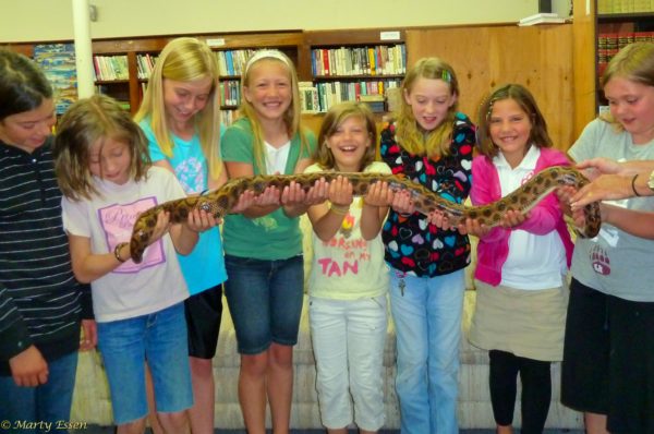 Snake education