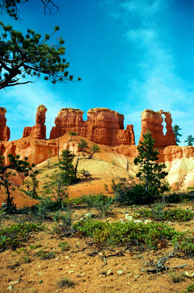 The scenery of Bryce Canon