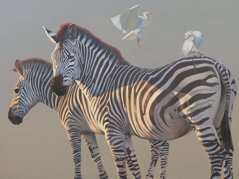 Zebras as art