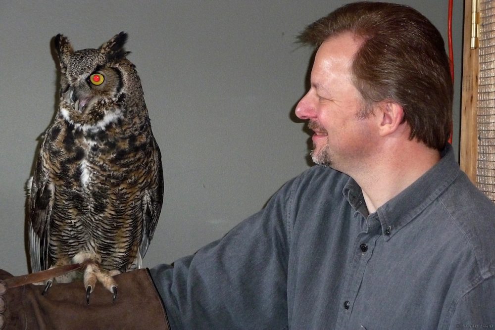 Holding a great horned owl