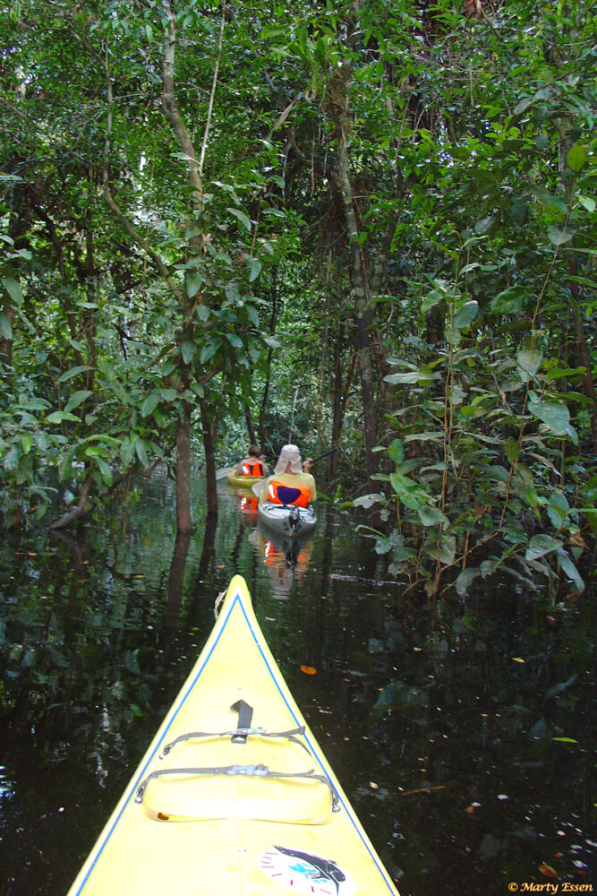 Rainy season kayaking