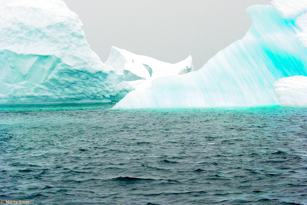 Icebergs ahead!
