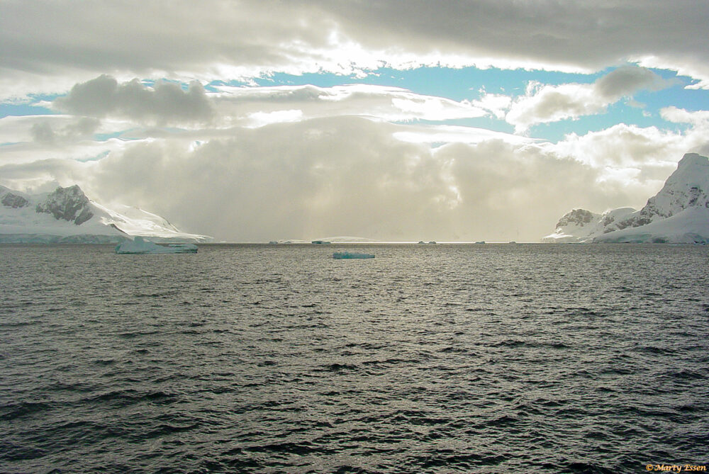 Antarctic beauty