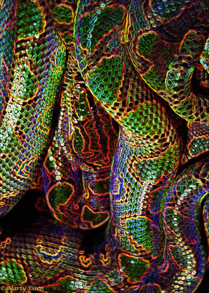 Snake art