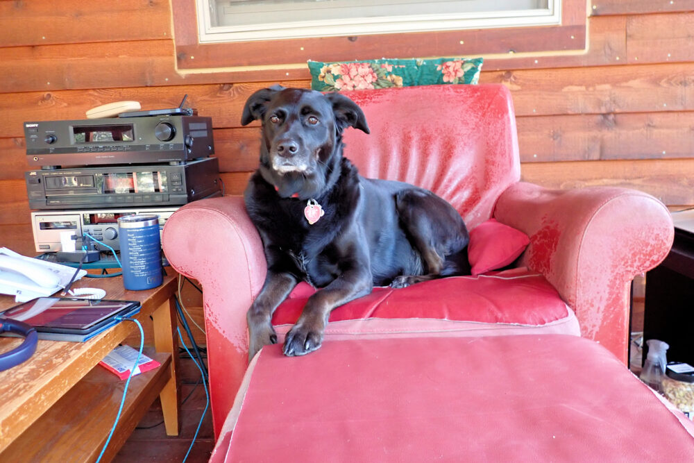 The Red Writing Chair