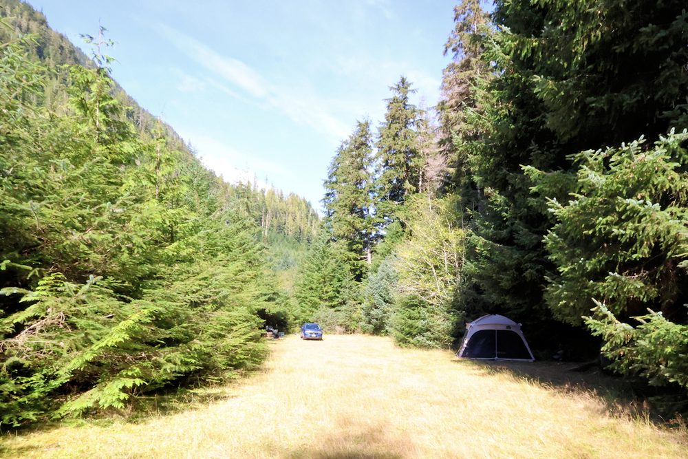 The Perfect Campsite, or the Campsite from Hell?